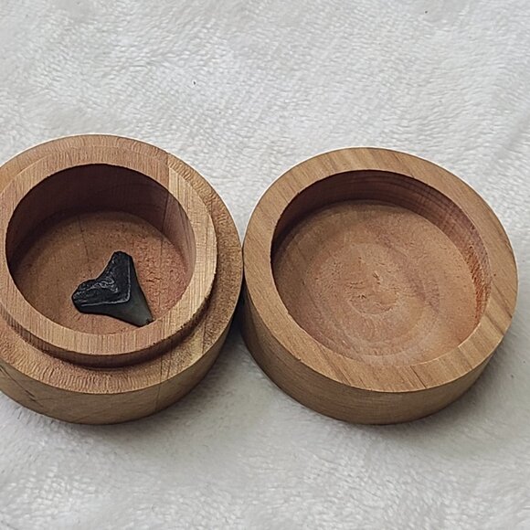 Wooden Tooth Fairy Box Engraved Rockaway Beach Oregon with Shark Tooth Fossil - Picture 2 of 10